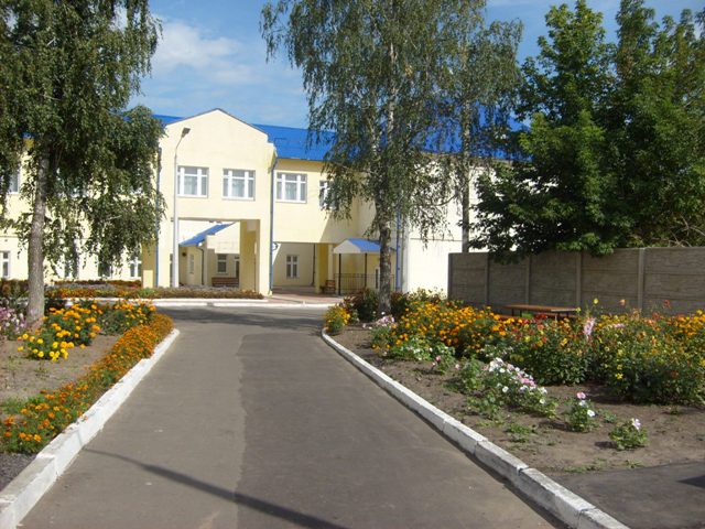 ОКОУ «Дмитриевская школа-интернат»